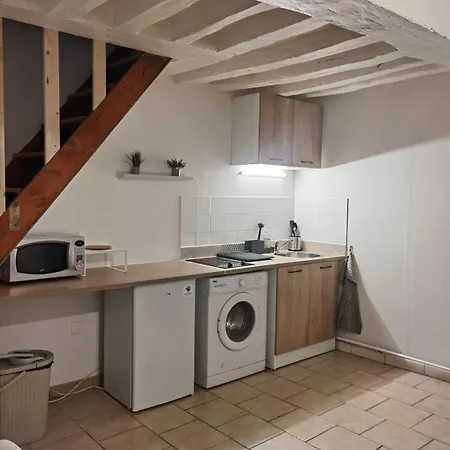 Duplex Proche Jardins Des Plantes Apartment Rouen