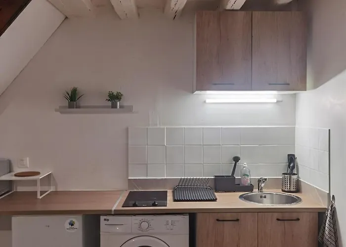 Duplex Proche Jardins Des Plantes * 鲁昂