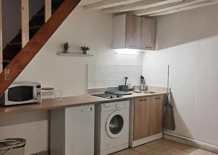 Duplex Proche Jardins Des Plantes 公寓 鲁昂